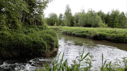 Cultuur in de natuur: muzikale wandeling door de Doode Bemde