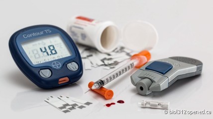 Diabetes uitgelegd in mensentaal
